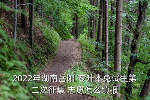 2022年湖南岳陽 專升本免試生第二次征集 志愿怎么填報(bào)