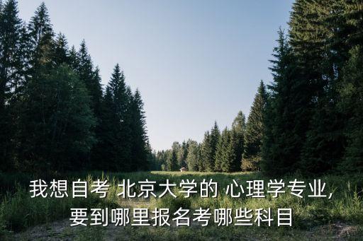 北京大學(xué)成人專(zhuān)升本心理學(xué),成人專(zhuān)升本心理學(xué)考哪些科目