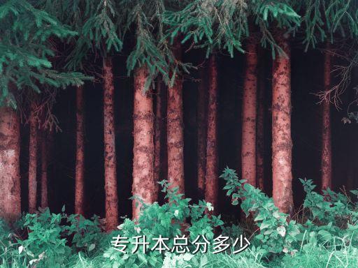 山東專(zhuān)升本考試總分?jǐn)?shù)