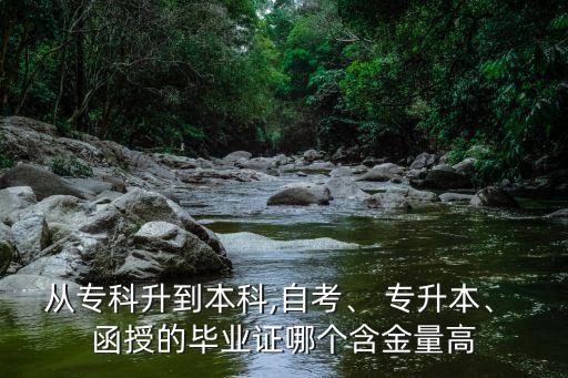 從?？粕奖究?自考、 專升本、 函授的畢業(yè)證哪個含金量高