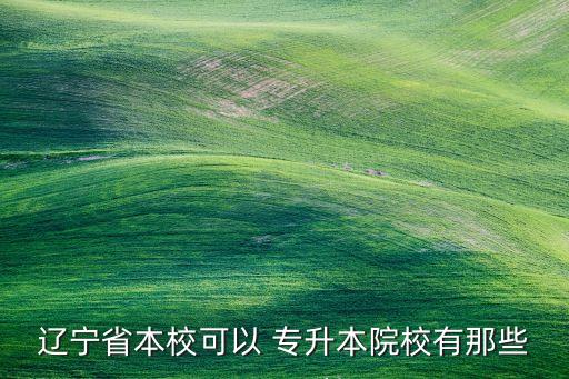 遼寧省本?？梢?專升本院校有那些
