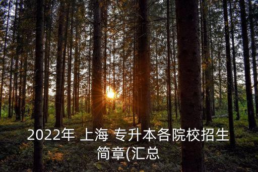 上海專升本 朝鮮語
