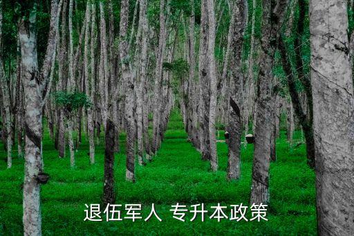 部隊(duì)士兵專升本,大專畢業(yè)生士兵部隊(duì)專升本政策