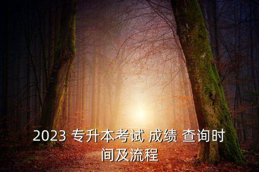 2023 專升本考試 成績(jī) 查詢時(shí)間及流程