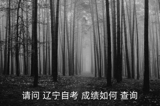 請問 遼寧自考 成績如何 查詢