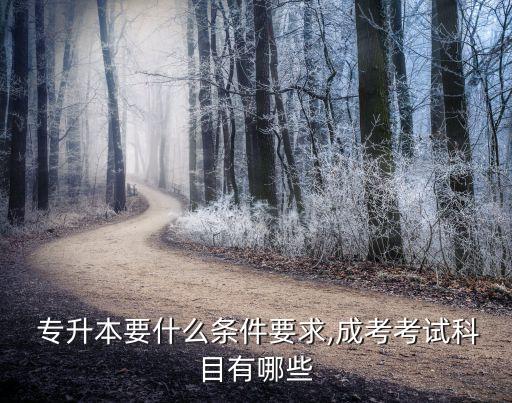 本科結(jié)業(yè)證可以報(bào)考專升本嗎,取得結(jié)業(yè)證可以按?？茍?bào)考專升本么