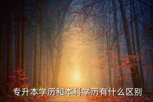 專升本會(huì)不會(huì)與本科生有差距