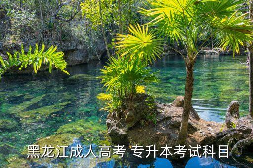  黑龍江成人高考 專(zhuān)升本考試科目