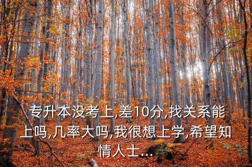  專升本沒考上,差10分,找關(guān)系能上嗎,幾率大嗎,我很想上學,希望知情人士...