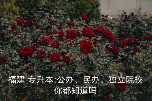 福建 專升本:公辦、民辦、獨立院校你都知道嗎