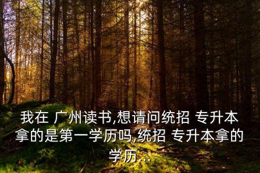 我在 廣州讀書,想請問統(tǒng)招 專升本拿的是第一學(xué)歷嗎,統(tǒng)招 專升本拿的學(xué)歷...
