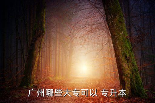 廣州哪些大?？梢?專升本