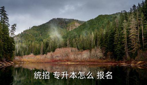 統(tǒng)招 專升本怎么 報名