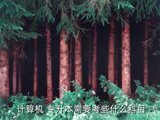  計(jì)算機(jī) 專升本需要考些什么科目