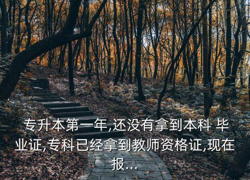  專升本第一年,還沒有拿到本科 畢業(yè)證,?？埔呀?jīng)拿到教師資格證,現(xiàn)在報(bào)...