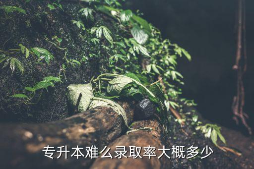 三加二專(zhuān)升本升學(xué)率,山東省三加二專(zhuān)升本