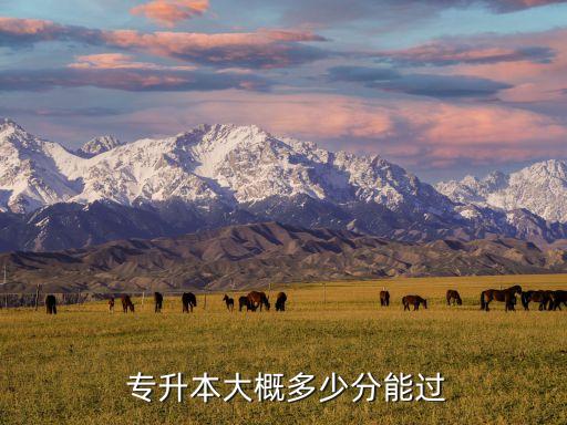 成考專升本要考多少分過