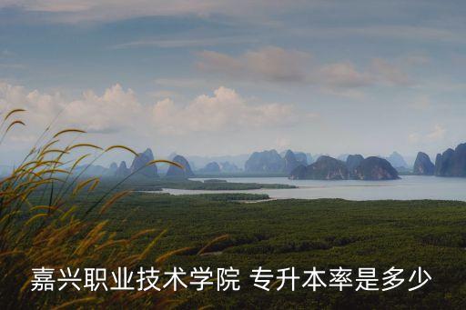 嘉興職業(yè)技術(shù)學院 專升本率是多少