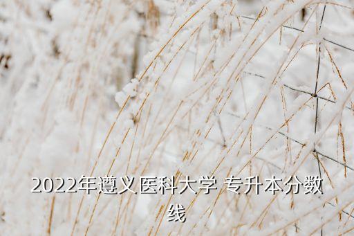 2022年遵義醫(yī)科大學 專升本分數(shù)線