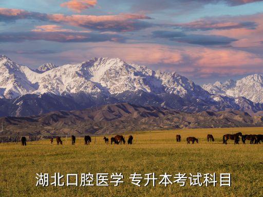  湖北口腔醫(yī)學 專升本考試科目