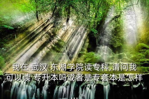 我在 武漢 東湖學(xué)院讀專科,請(qǐng)問(wèn)我可以讀 專升本嗎或者是專套本是怎樣...