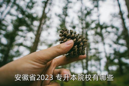 宿州學(xué)院專(zhuān)升本電子信息