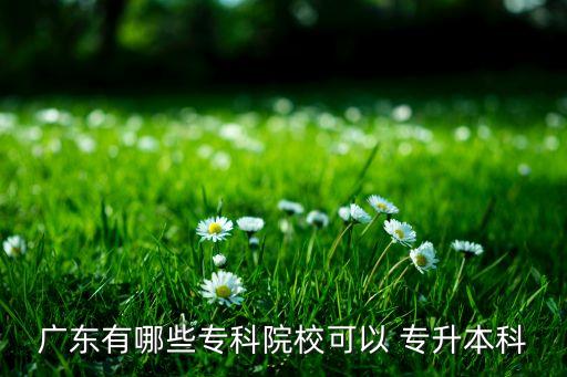 廣東有哪些?？圃盒？梢?專升本科