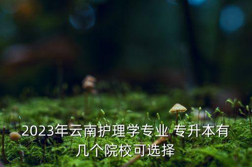 2023年云南護理學專業(yè) 專升本有幾個院?？蛇x擇