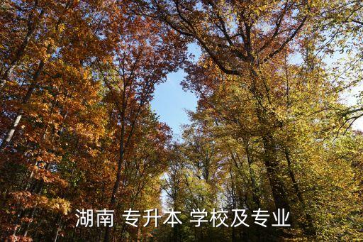  湖南 專升本 學(xué)校及專業(yè)
