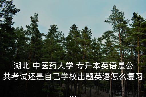  湖北 中醫(yī)藥大學(xué) 專升本英語(yǔ)是公共考試還是自己學(xué)校出題英語(yǔ)怎么復(fù)習(xí)...