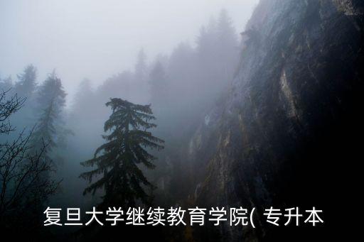  復旦大學繼續(xù)教育學院( 專升本