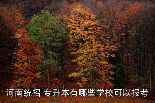 2016安陽(yáng)專(zhuān)升本去哪報(bào)名