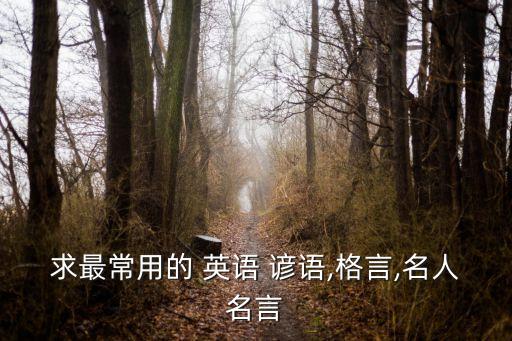 專升本常考英語(yǔ)諺語(yǔ),初中?？加⒄Z(yǔ)諺語(yǔ)12句