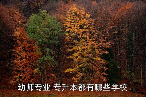 幼師專(zhuān)業(yè) 專(zhuān)升本都有哪些學(xué)校