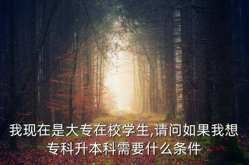 大陸赴臺(tái)專升本67所高職