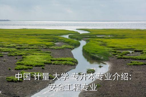中國 計量 大學(xué) 專升本專業(yè)介紹:安全工程專業(yè)