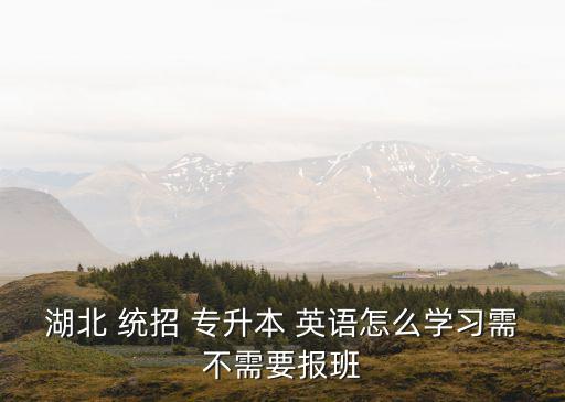湖北 統(tǒng)招 專升本 英語怎么學(xué)習(xí)需不需要報班