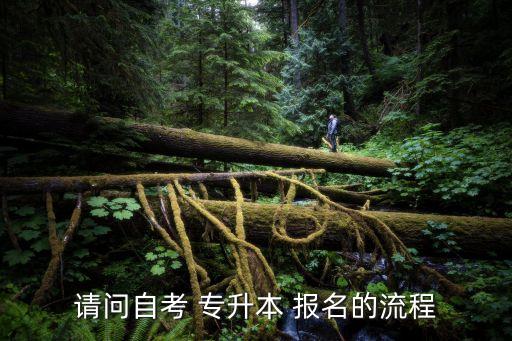 專升本網(wǎng)上報(bào)名修改,成人教育專升本網(wǎng)上報(bào)名
