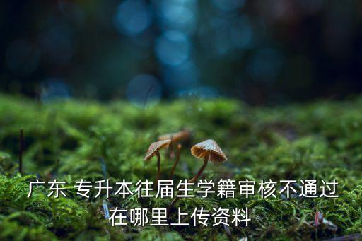  廣東 專(zhuān)升本往屆生學(xué)籍審核不通過(guò)在哪里上傳資料