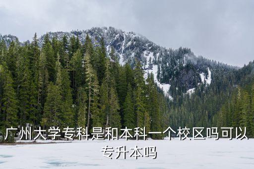 廣州大學(xué)?？剖呛捅究埔粋€校區(qū)嗎可以 專升本嗎