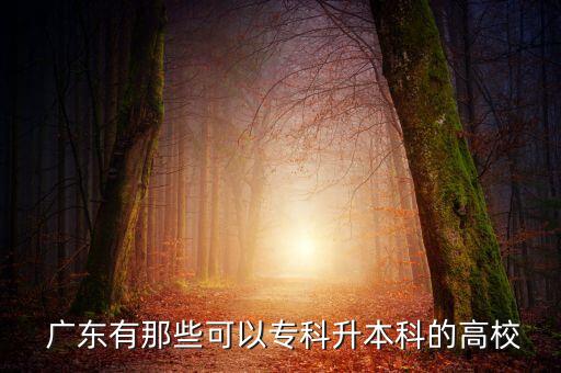  廣東有那些可以?？粕究频母咝? class=