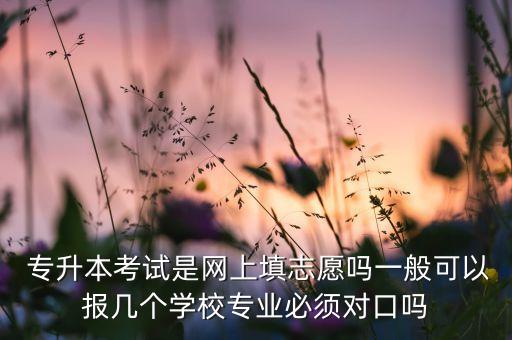  專升本考試是網(wǎng)上填志愿嗎一般可以報(bào)幾個(gè)學(xué)校專業(yè)必須對(duì)口嗎