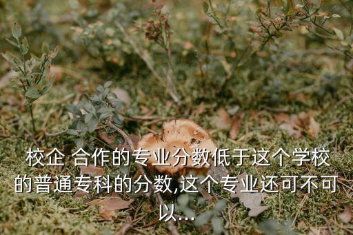  校企 合作的專業(yè)分?jǐn)?shù)低于這個(gè)學(xué)校的普通專科的分?jǐn)?shù),這個(gè)專業(yè)還可不可以...