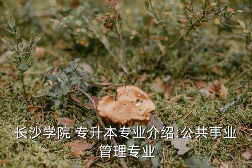 長沙學(xué)院 專升本專業(yè)介紹:公共事業(yè) 管理專業(yè)