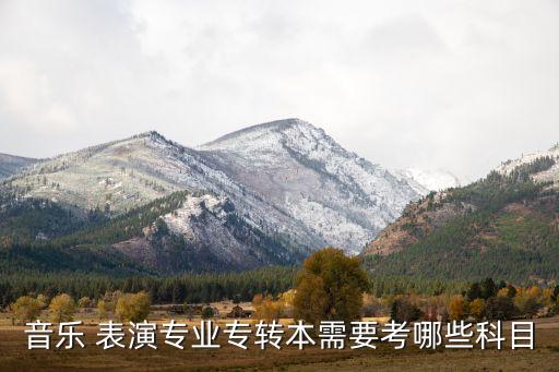 音樂(lè) 表演專業(yè)專轉(zhuǎn)本需要考哪些科目