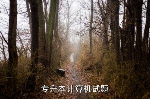 專(zhuān)升本計(jì)算機(jī)試題