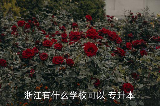浙江省各所大學專升本