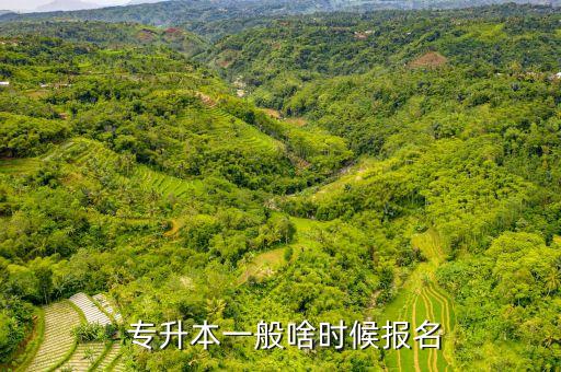  專升本一般啥時(shí)候報(bào)名