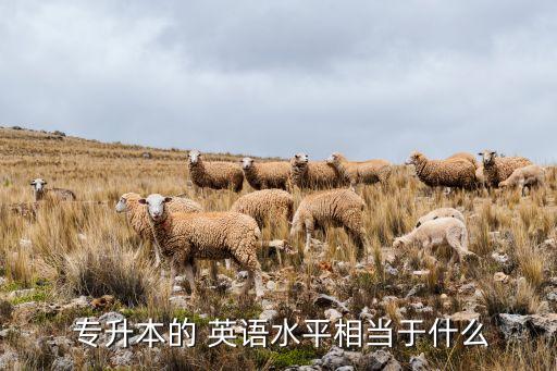  專升本的 英語水平相當于什么