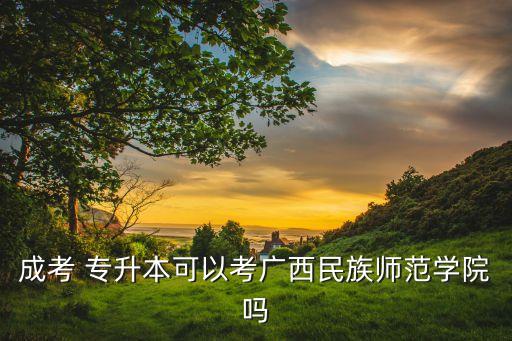 成考 專升本可以考廣西民族師范學(xué)院?jiǎn)? class=